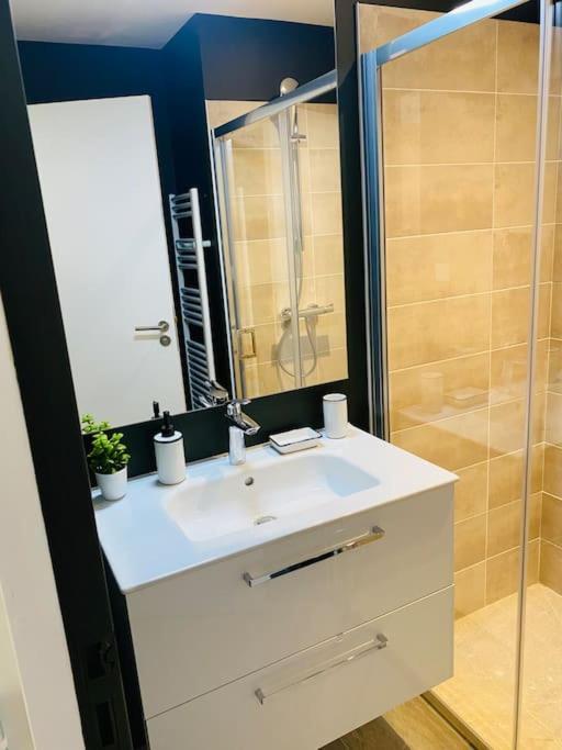 Le Viagio Superbe Appartement Avec Jacuzzi Sarlat-la-Canéda Eksteriør billede
